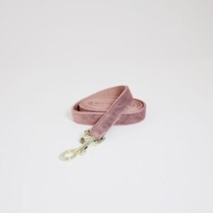 Kentucky Dogwear | Velvet line – 120 cm, Old rose